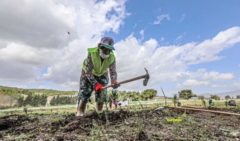 Buca’da ormanlık alana İzmirliler adına 500 fidan dikildi
