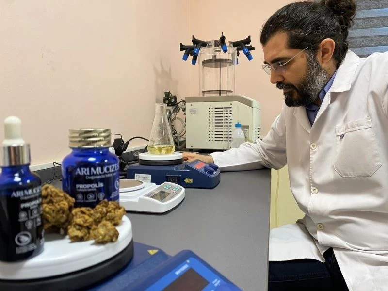 Propolis pastil tükürük bezlerinin çalışmasına yardımcı oluyor
