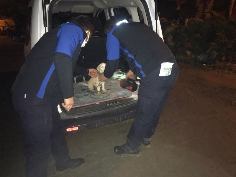 Bursa’da vahşet...Boynuna ip dolayıp surlarda ölüme terk ettiler
