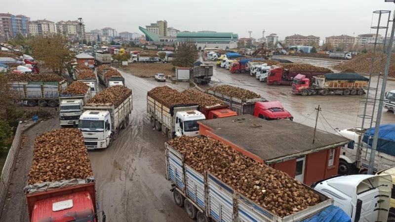 Pancar bedelleri 25 Mart’ta ödenmeye başlıyor
