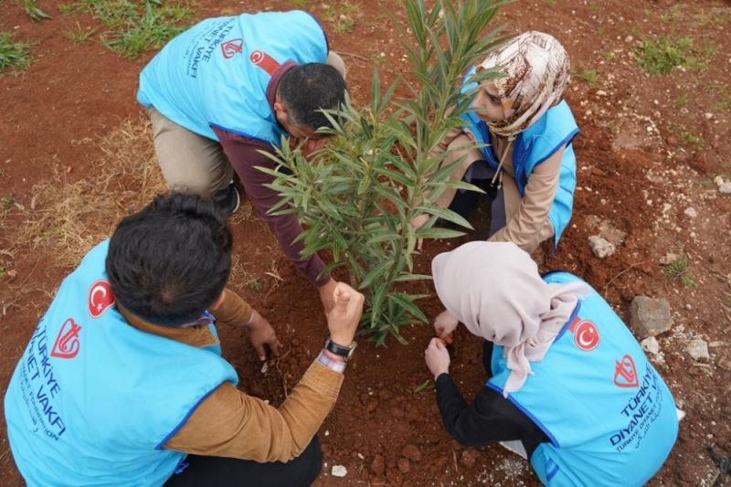 TDV Gençlik Kollarından İdlib’de fidan dikimi ve kardeşlik ziyareti
