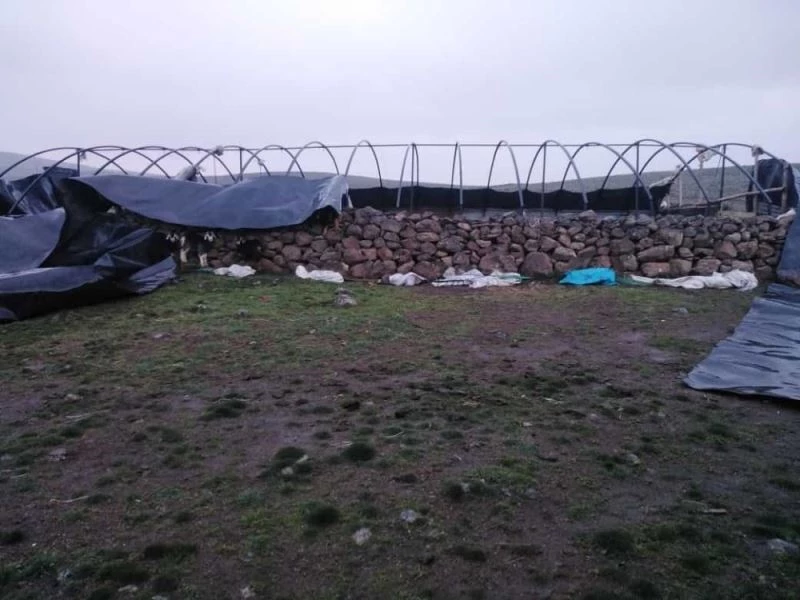 Elazığ’da fırtına direkleri devirdi, çatıları uçurdu 10 kuzu telef oldu
