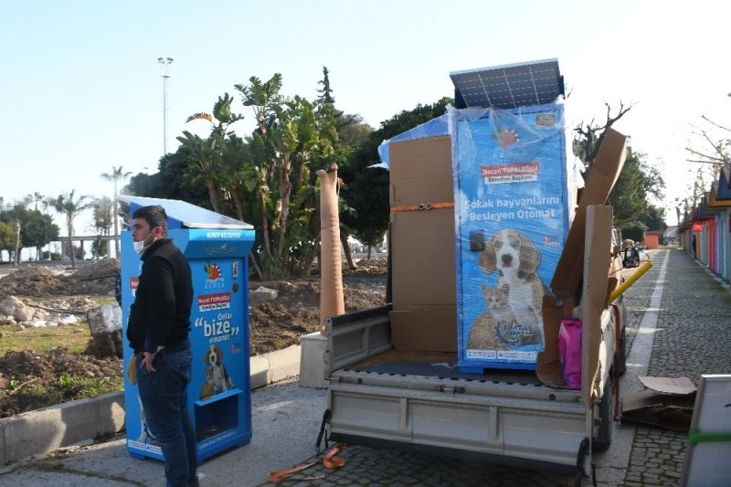 Sokak hayvanları için güneş enerjisiyle çalışan mamamatikler kuruldu
