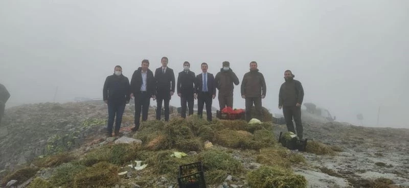 Soğuk havaya rağmen kaymakamlar ve savcı doğada yemleme çalışmasına katıldı
