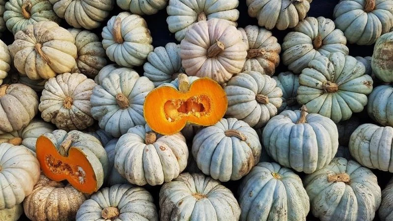 Düzce’nin kestane kabağı ve şırası, coğrafi işaret belgesi aldı
