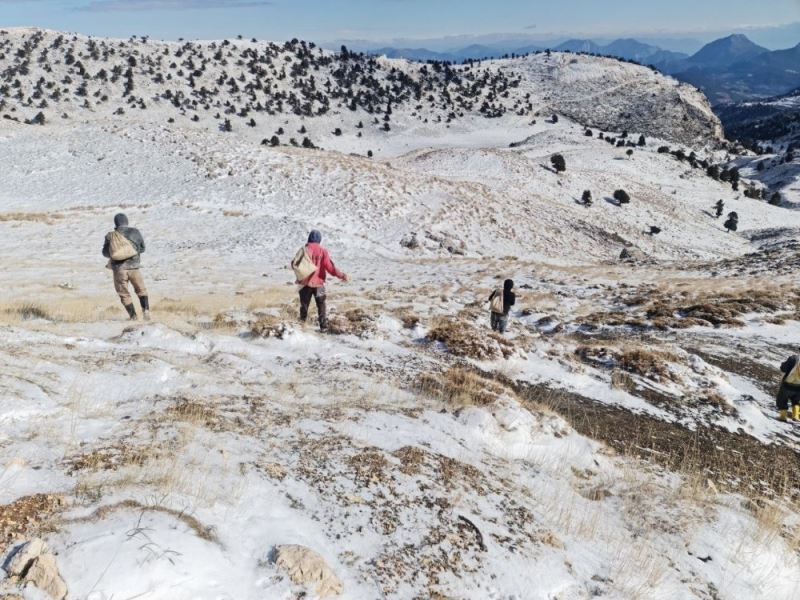 Meralardaki ekimler, gübre ile zenginleştirildi
