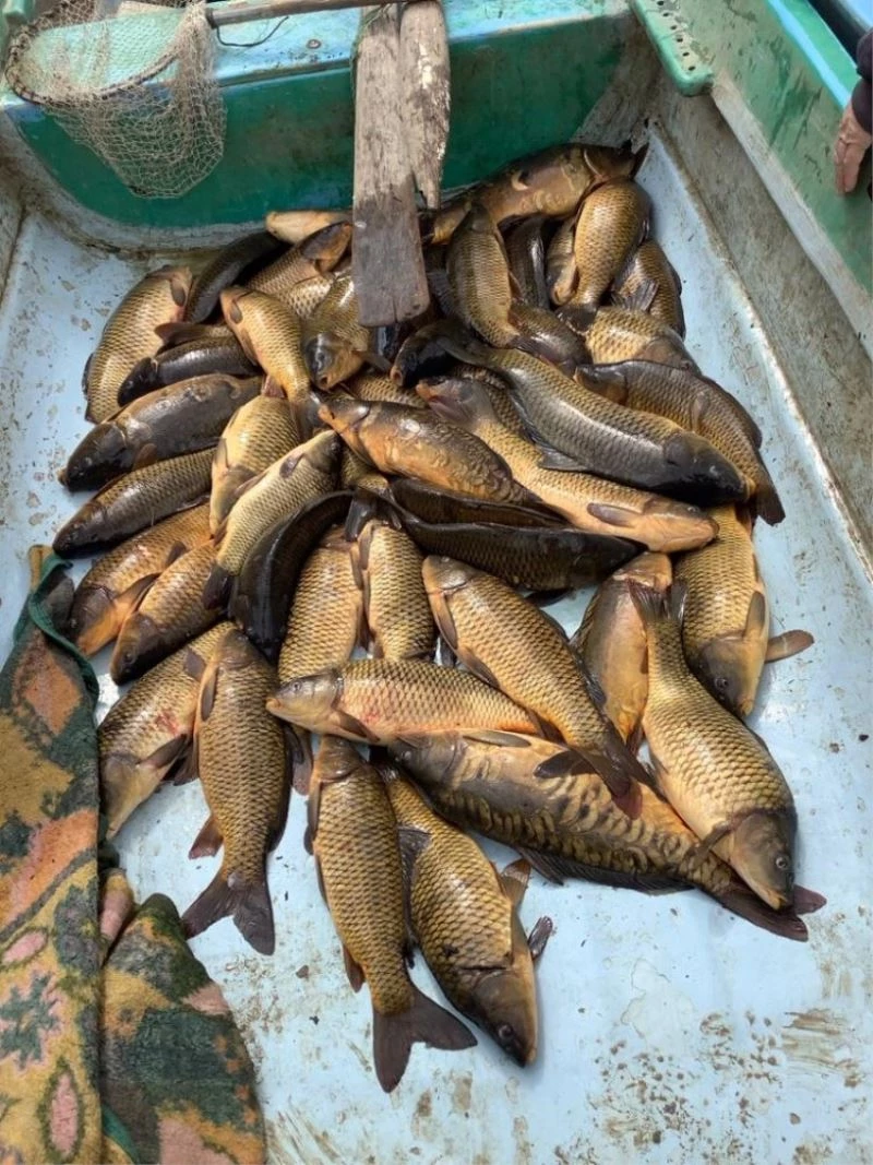 Kaçak balık avına 5 bin 455 lira ceza
