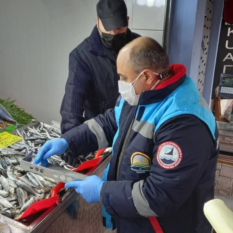 Kırklareli’nde tezgahlardaki balık boyları denetlendi
