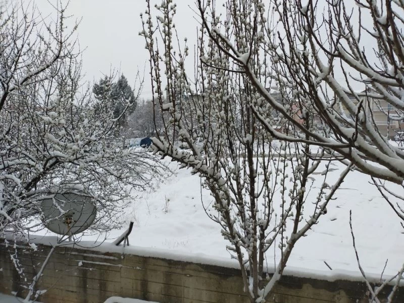 Denizli ve ilçelerine 2 günlük zirai don uyarısı
