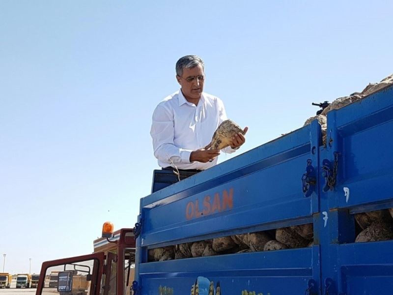 Konya Şeker pancar üreticisine 1,4 milyar TL’lik pancar bedeli ödedi
