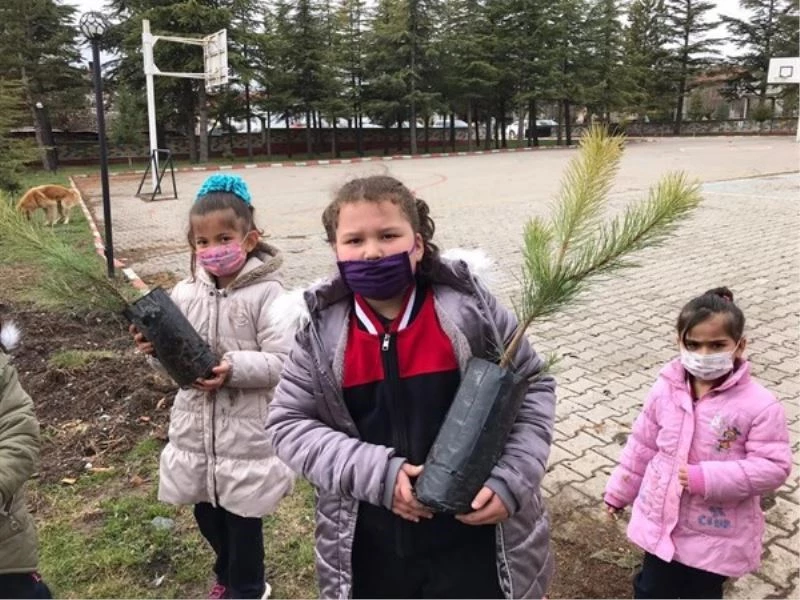 Okul bahçesi ağaçlandırıldı
