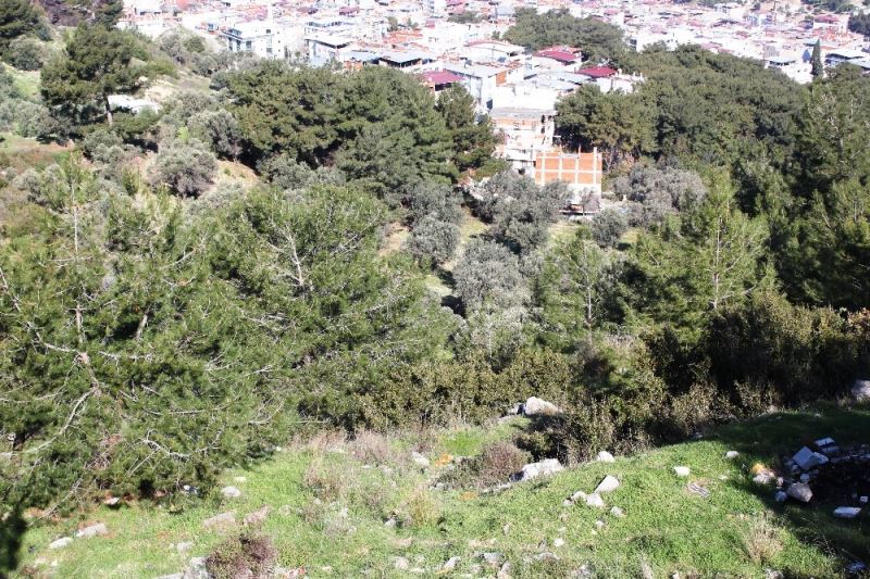 İzmir’de ormanlık alanda kafatası ve kemik parçaları bulundu
