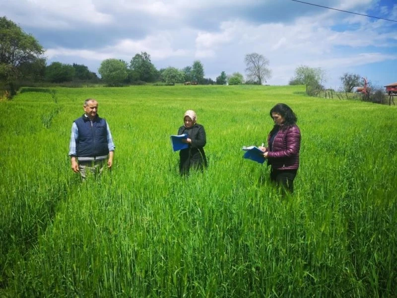 Çiftçilere hububat ve dane mısır ödemeleri yapıldı

