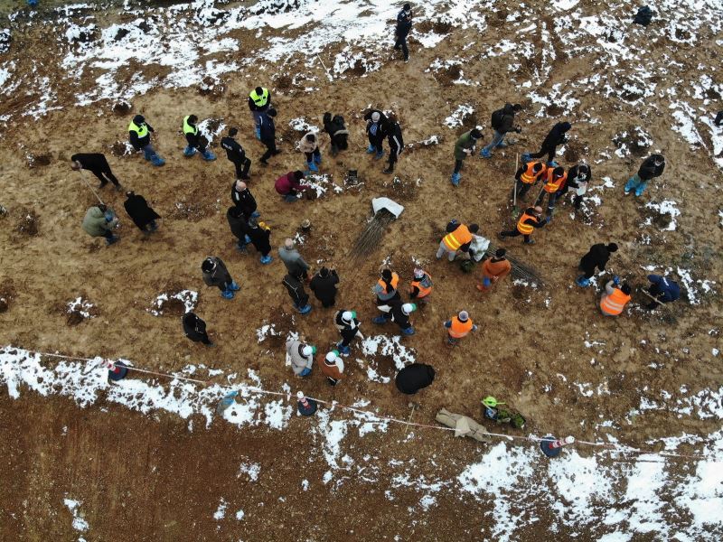 Kastamonu’da rehabilite edilen çöp sahasına bin fidan dikildi
