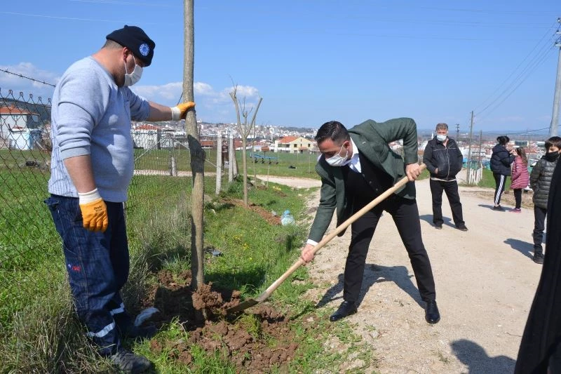 Biga Yeniceköy mahallesi ağaçlandırıldı
