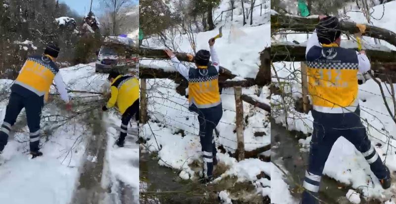 Vakaya giden 112 ekibinin yola devrilen ağaçla mücadelesi
