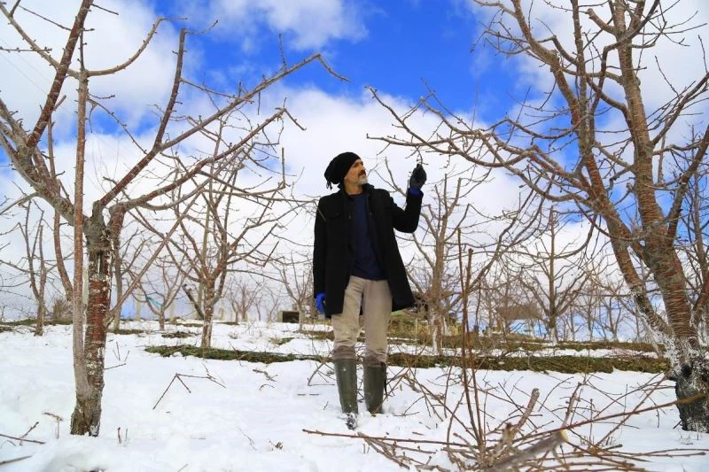 Kuraklık endişesi yaşayan kiraz üreticilerinin yüzü son yağışlarla güldü
