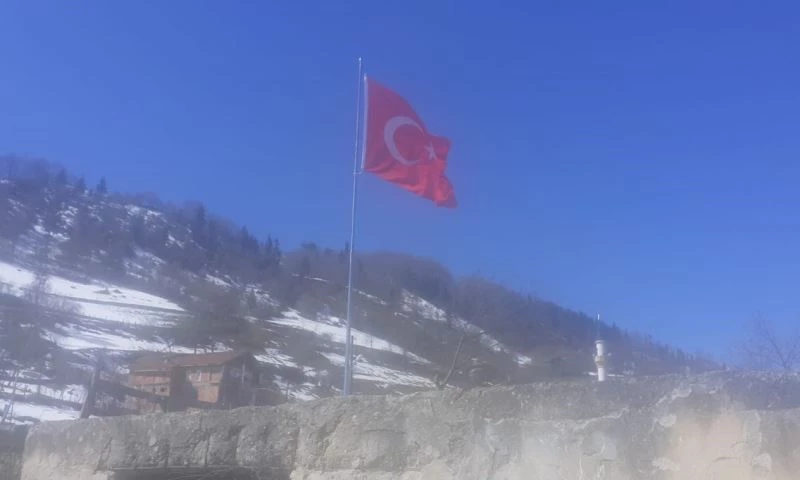 Mahalleye dev Türk bayrağı astılar
