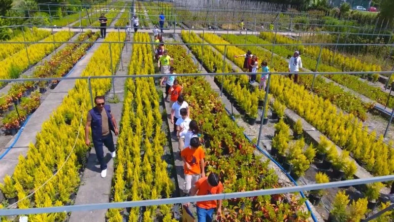 Şehrin kalbindeki 97 yıllık oksijen deposu
