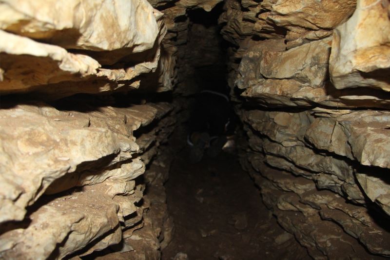 Anadolu tarihine ışık tutacak keşif mağarada bulundu
