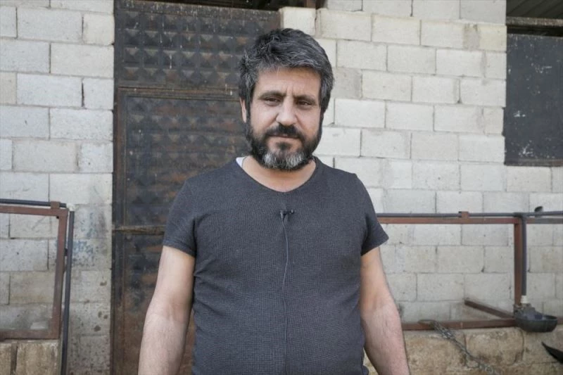 Beslenme güçlüğü çektiği için ameliyat edilen ineğin karnından 15 kilo halat çıktı