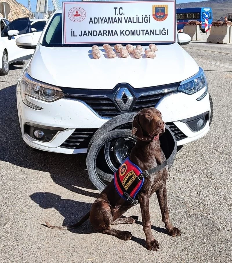’Manken’ uyuşturucu tacirlerine geçit vermiyor
