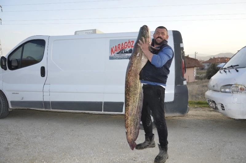Gölhisar’da ender büyüklükte yakalanan yayın balığı görenleri hayrete düşürdü
