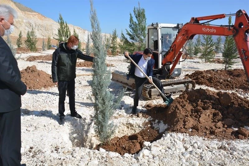 Tarihi Hasankeyf yeşilleniyor
