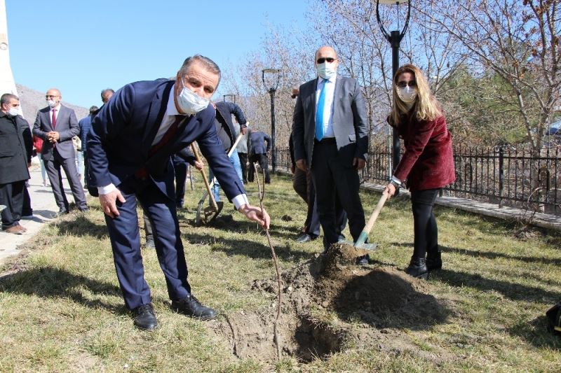 Yeşilırmak yerleşkesinde fidanlar toprakla buluştu
