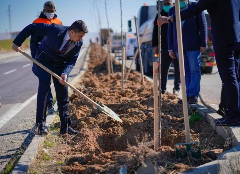 Silvan’da refüj yeşillendirme çalışmaları
