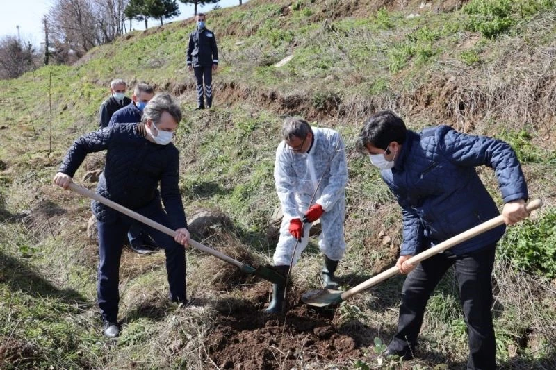 SAMÜ personeli meyve fidanlarını toprakla buluşturdu
