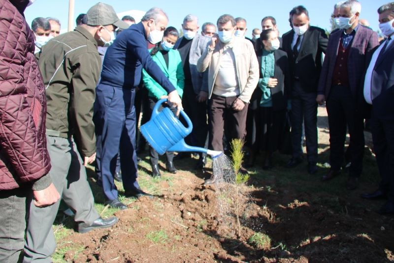 Diyarbakır hipodromu 44 bin ağaçla yeşillendirildi
