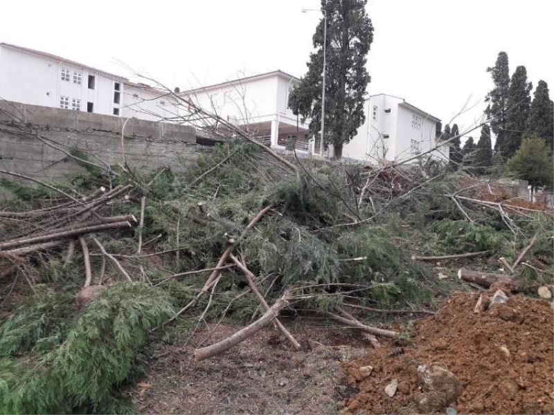 Hastane bahçesindeki ağaçların kesilmesine ilişkin valilikten açıklama
