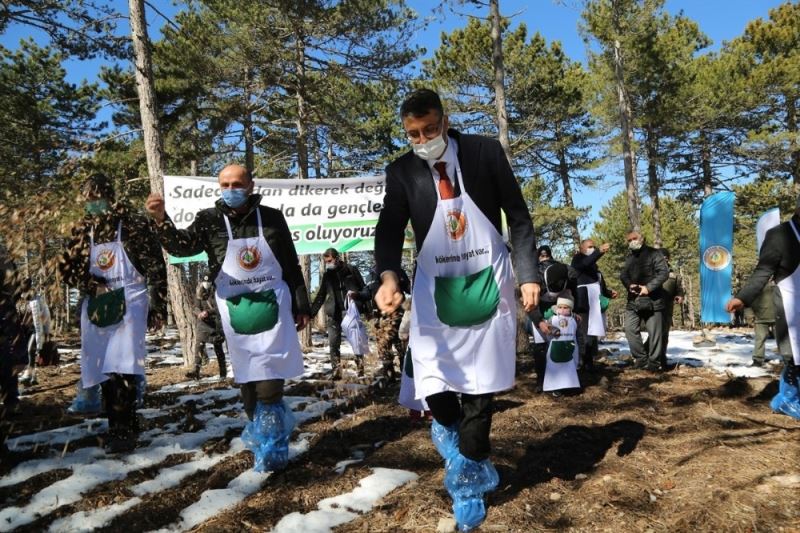 Karaçam tohumları toprakla buluştu
