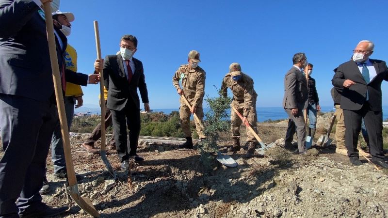 GÜBRETAŞ, Hatay’da yanan ormanlık alanlara fidan dikti
