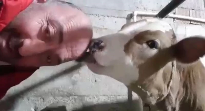 Saçı olmayan Karadenizlinin ilginç çözümü
