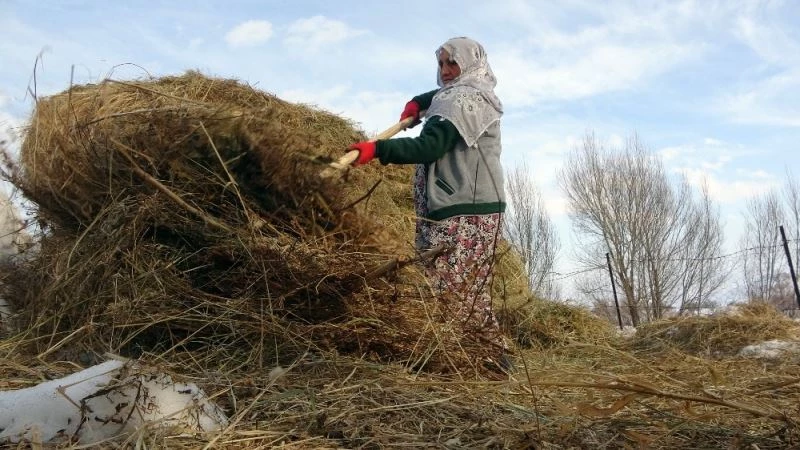 70 yaşındaki Safiye Nine, 10 kişinin yapamadığı işi tek başına yapıyor
