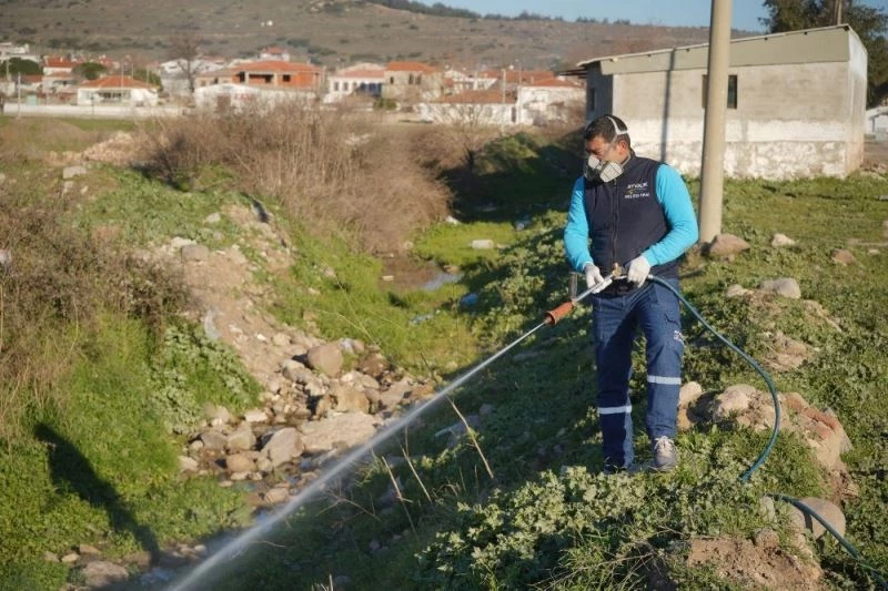 Ayvalık’ta sivrisinekle 365 gün mücadele
