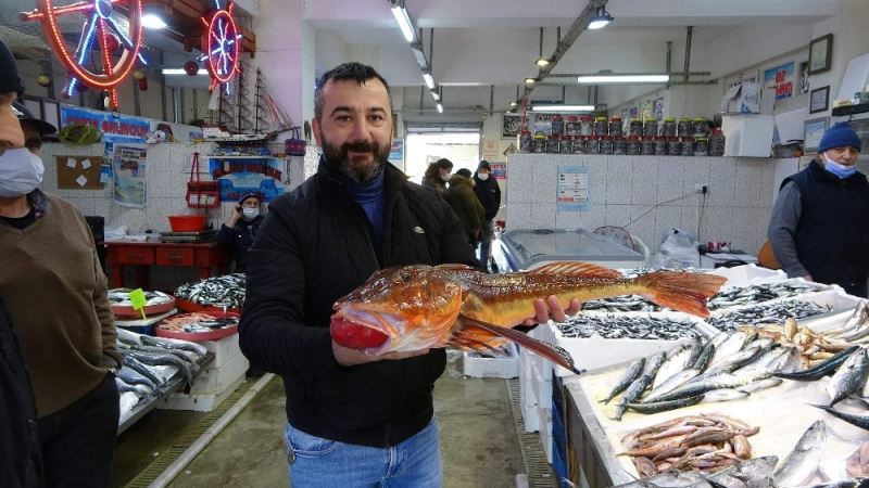 Uzun süredir tezgahlarda görülmüyordu, balık av sezonunun sonları doğru ortaya çıktı
