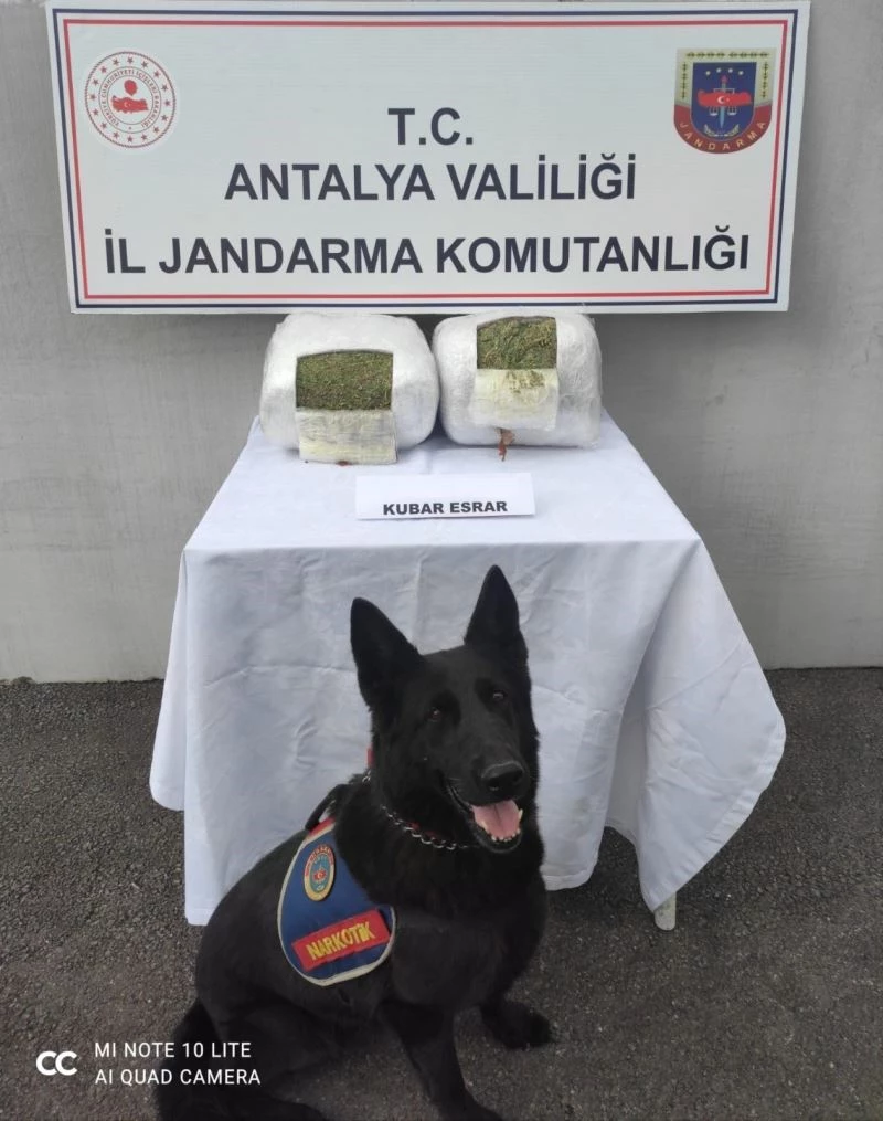 Jandarma yolcu valizinde 11 kilo esrar ele geçirdi
