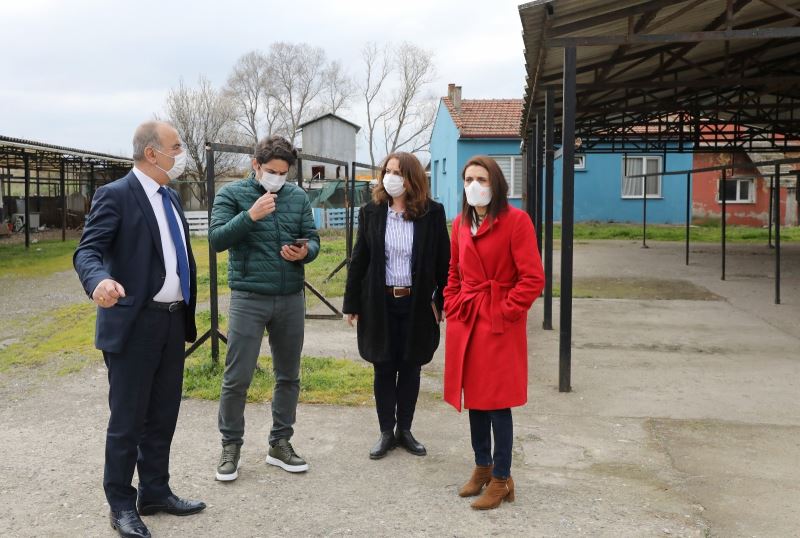 Mudanya’ya sokak hayvanları rehabilitasyon merkezi ve barınak
