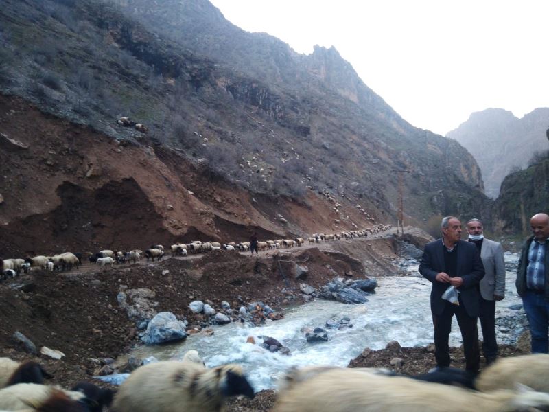 Hakkari’de sürülerin göçü başladı
