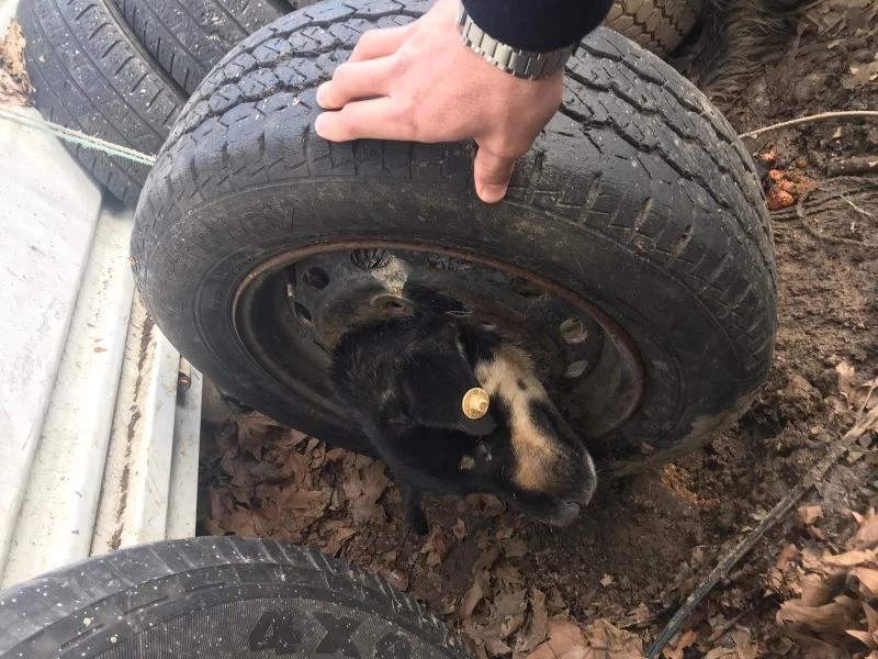 Merakı yüzünden tekere kafasını sıkıştırdı
