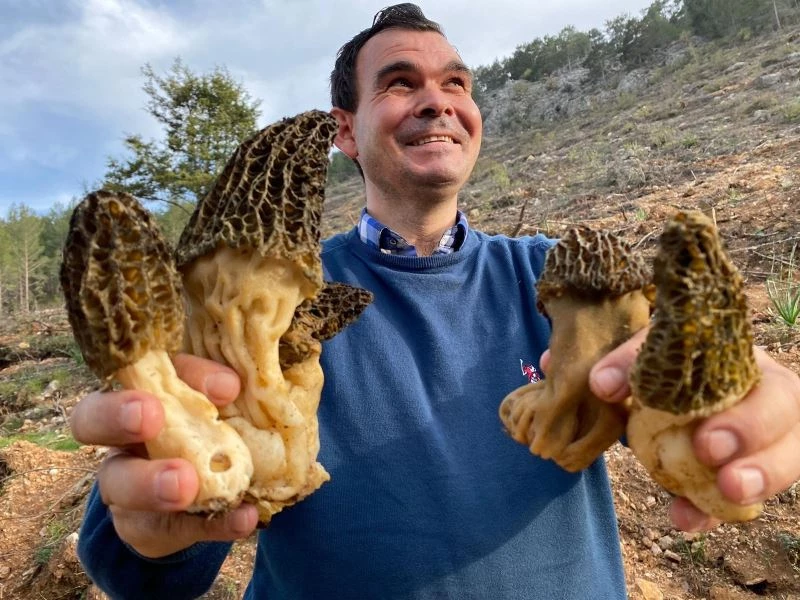 Toroslar’dan toplayıp tazesini 150 TL’den, kurusunu bin 500 TL’den satıyorlar
