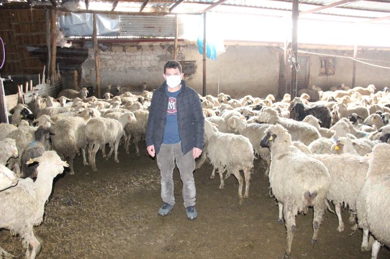 Karaman’da 21 küçükbaşın telef olduğu sürüdeki 579 hayvanı köylüler kurtardı
