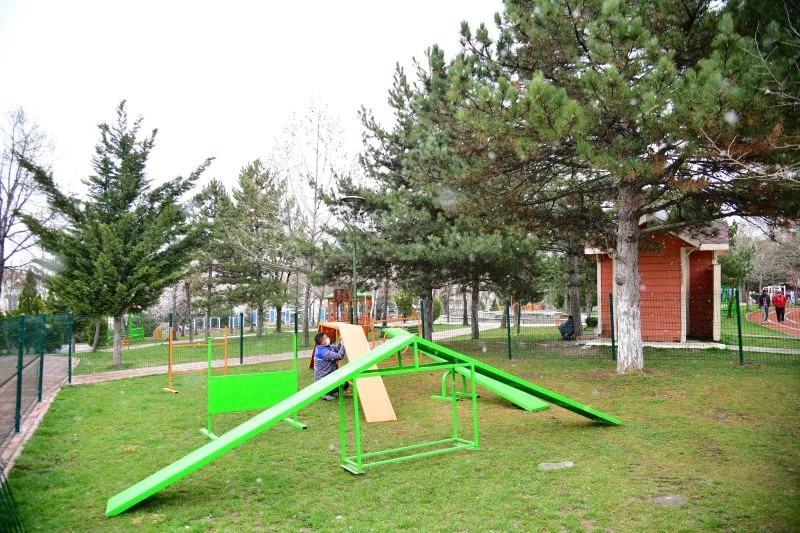 ’Gel Can Dostum bu park senin’
