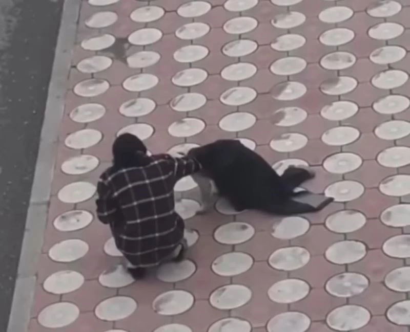 Batman’da üşüyen köpeğin üzerine montunu örttü
