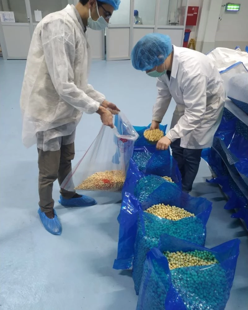 Denetimsiz çekirdek kabuğuna bile geçiş yok
