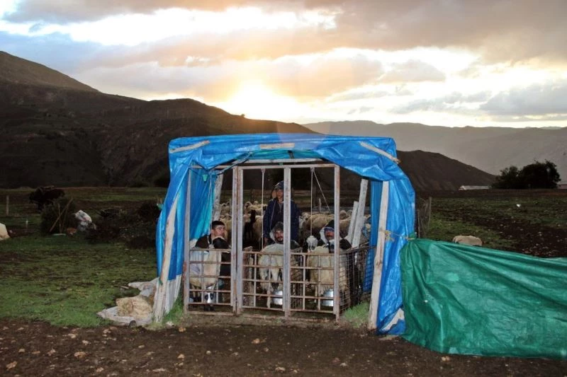 Erzincan’da sahur sofralarının vazgeçilmezi tulum peyniri
