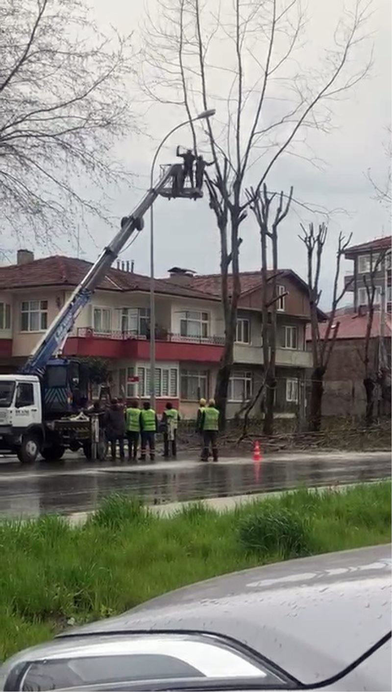 Ağaç budayan kişi vinç sepetinden atlayarak operatöre saldırdı
